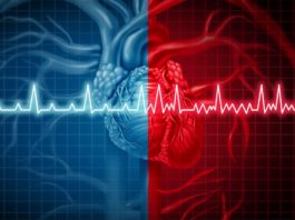 AI system proves 100% accurate at detecting heart failure