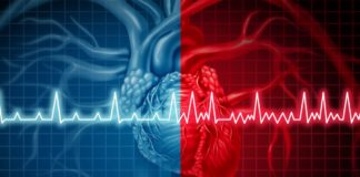 AI system proves 100% accurate at detecting heart failure