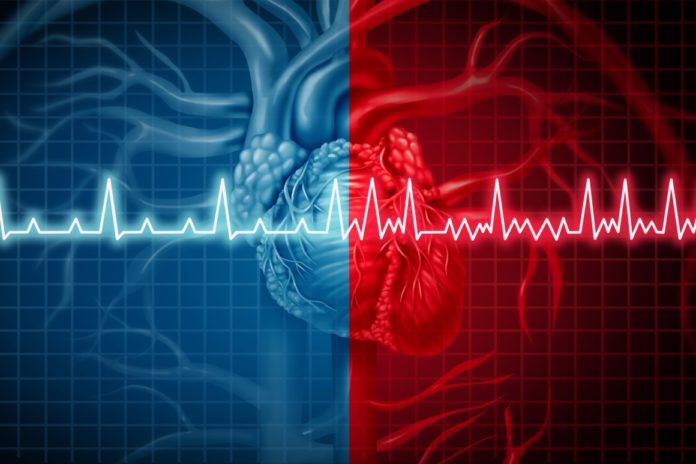 AI system proves 100% accurate at detecting heart failure