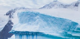 Rainforests In Antarctica