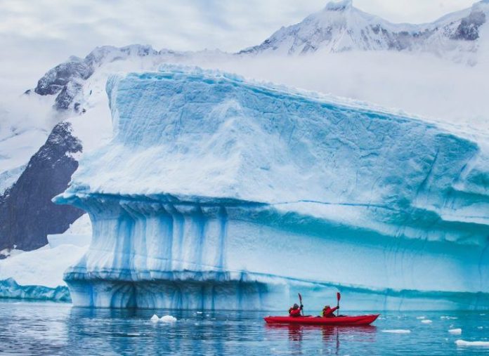 Rainforests In Antarctica