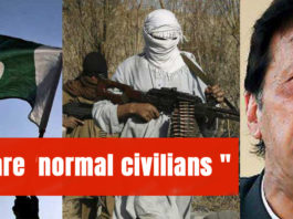 Taliban are 'normal civilians'
