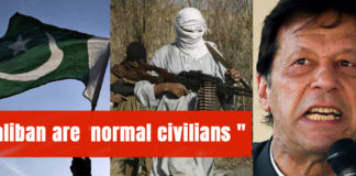Taliban are 'normal civilians'