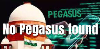 No Pegasus found