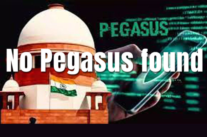 No Pegasus found