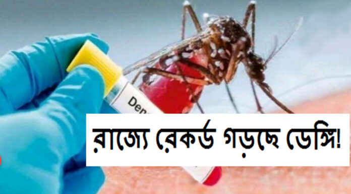 জেলায় ডেঙ্গি