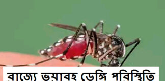 Dengue