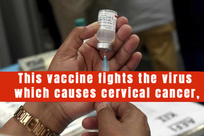 India's first indigenously developed vaccine